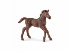 Schleich 13857 Plnokrevné hříbě