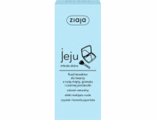 Ziaja Fluid-Face Concealer