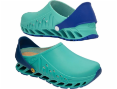 Buty Evoflex marki Scholl