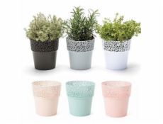 Hrniec Lamela Rosa 656-05, plast, H 13 cm, biely