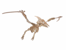 Woodcraft Dřevěné 3D puzzle Pterosaur