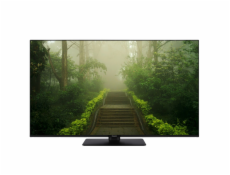 Panasonic TB-43W60AEZ black