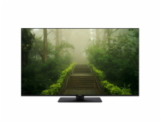 Panasonic TB-55W60AEZ black