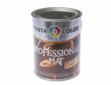 Základ barvy Pentacolor Professional Matt, emulze, 1l