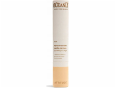 Attitude  Oceanly, Light Covering Concealer, Nude, 5,7 g