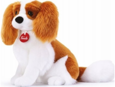 Trudi  CAVALIER KING (M)