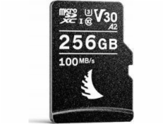 Angelbird AV Pro SDHC karta 256GB UHS-I/U3 V30 (AVP256MSDV30)