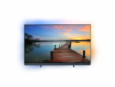 Philips 55OLED909/12, OLED televize