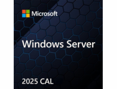 Microsoft Windows Svr CAL 2025 PL Clt User CAL OEM