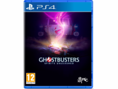 Ghostbusters: Spirits Unleashed PS4