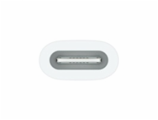 USB-C to Apple Pencil Adapter