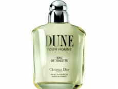 Dior dune edt 100 ml